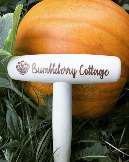Bumbleberry Cottage Gresford Екстер'єр фото